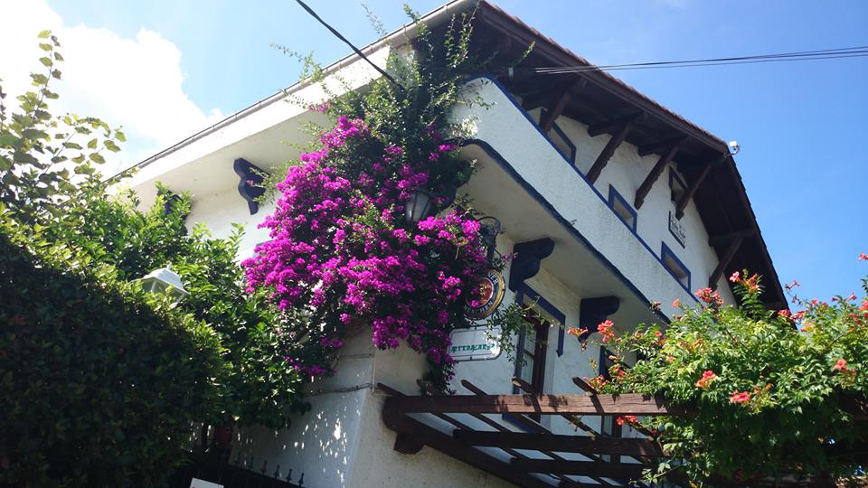 Restaurante donde poder disfrutar auténtica comida tradicional vasca rodeado de naturaleza.